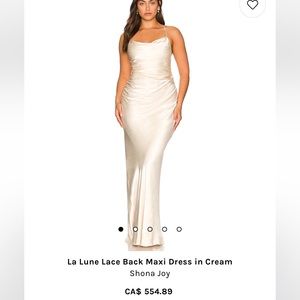 Shona Joy Slip Dress